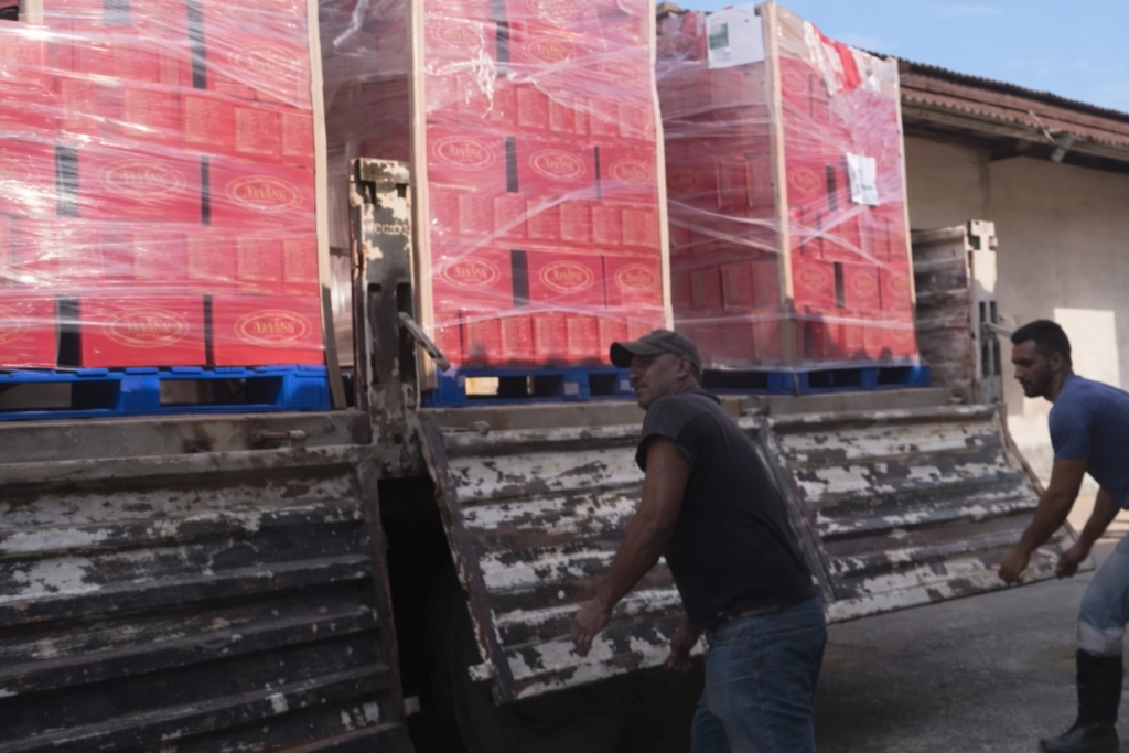 Ayuda enviada por México en reparto