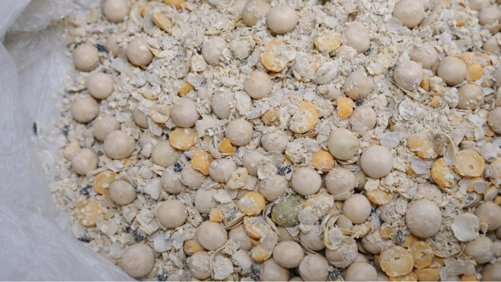 Chicharos de la bodega en cuba