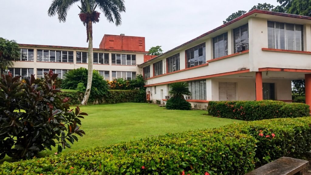 Ilustración con IA basada en una foto de la biblioteca central de la UCLV, con jardín y palmera.